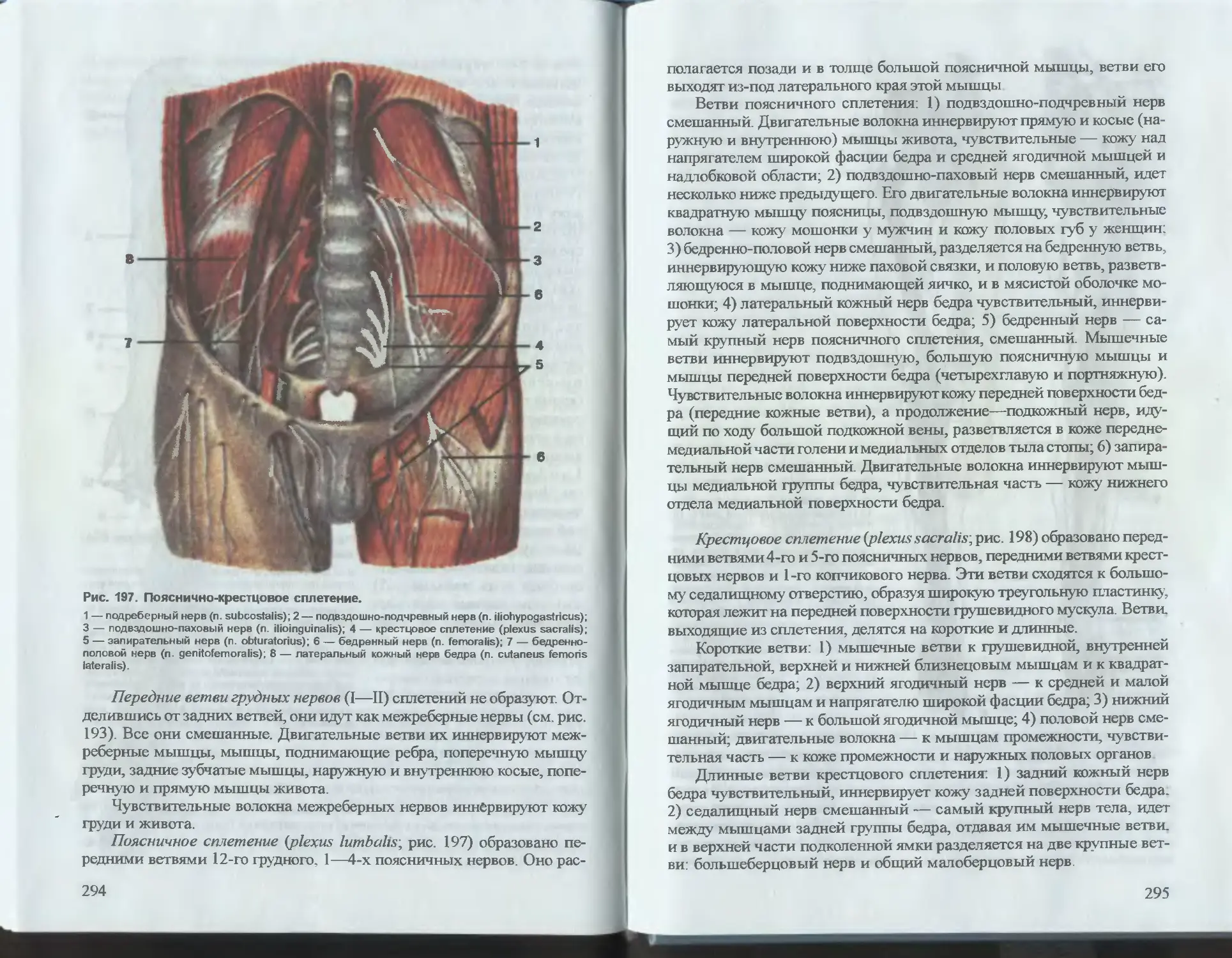 Анатомия липченко самусев. Большой атлас анатомии человека Самусев. Атлас анатомия и физиология человека. Атлас анатомии человека Самусев Липченко. Анатомия груди.