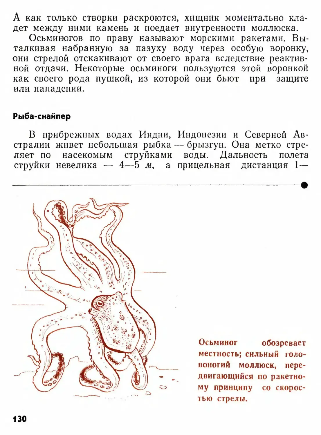 Рыба-снайпер