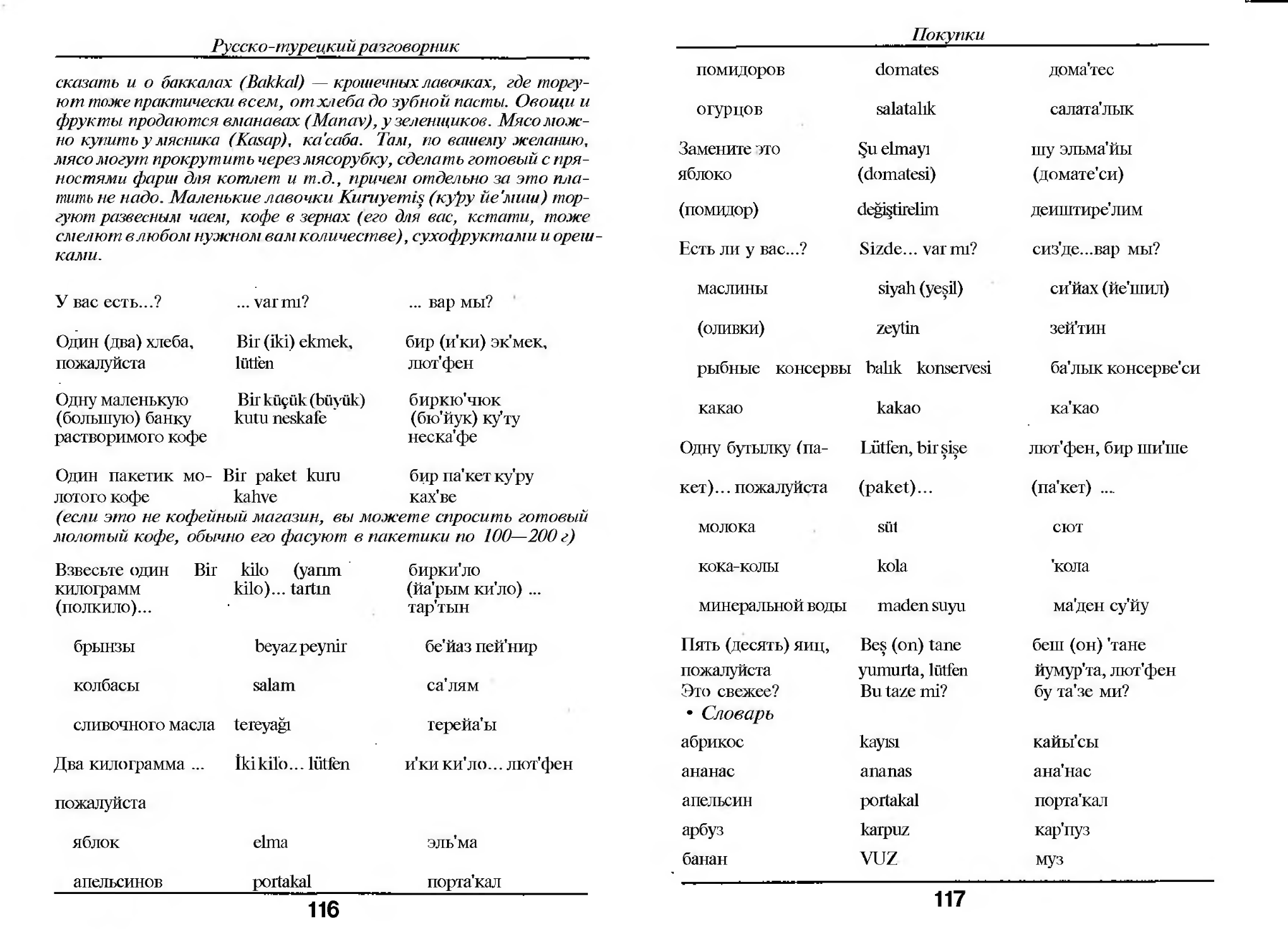Русско-турецкий разговорник. Турецкий словарь. Турецко русский разговорник. Русско-турецкий язык.
