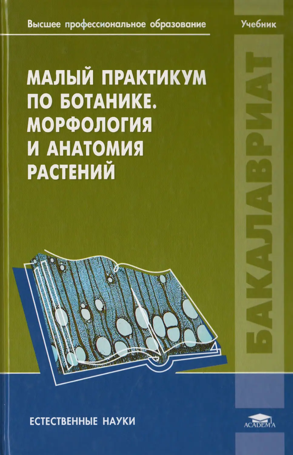 Учебники по морфологии. Анатомия и морфология растений. Практикум по морфологии. Малый практикум по ботанике. Морфология ботаника.