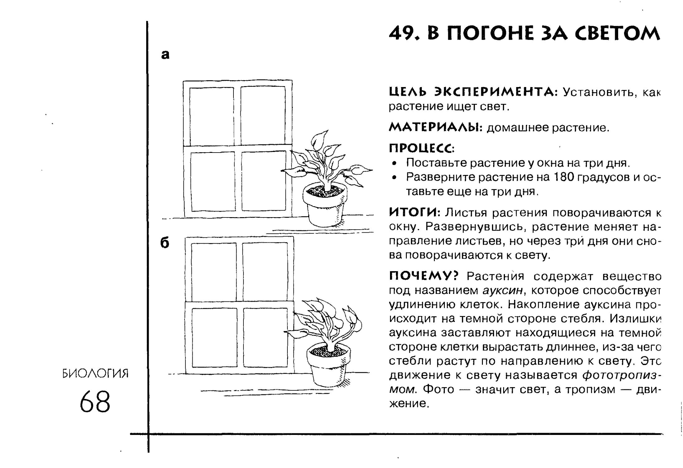 В изображенном на рисунке опыте растение помещают на подоконник и через несколько дней