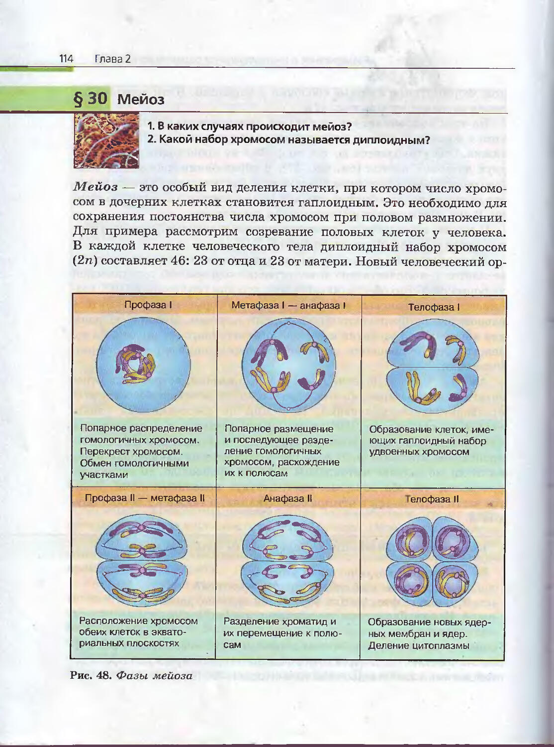 Учебник биологии 10 класс пасечник каменский