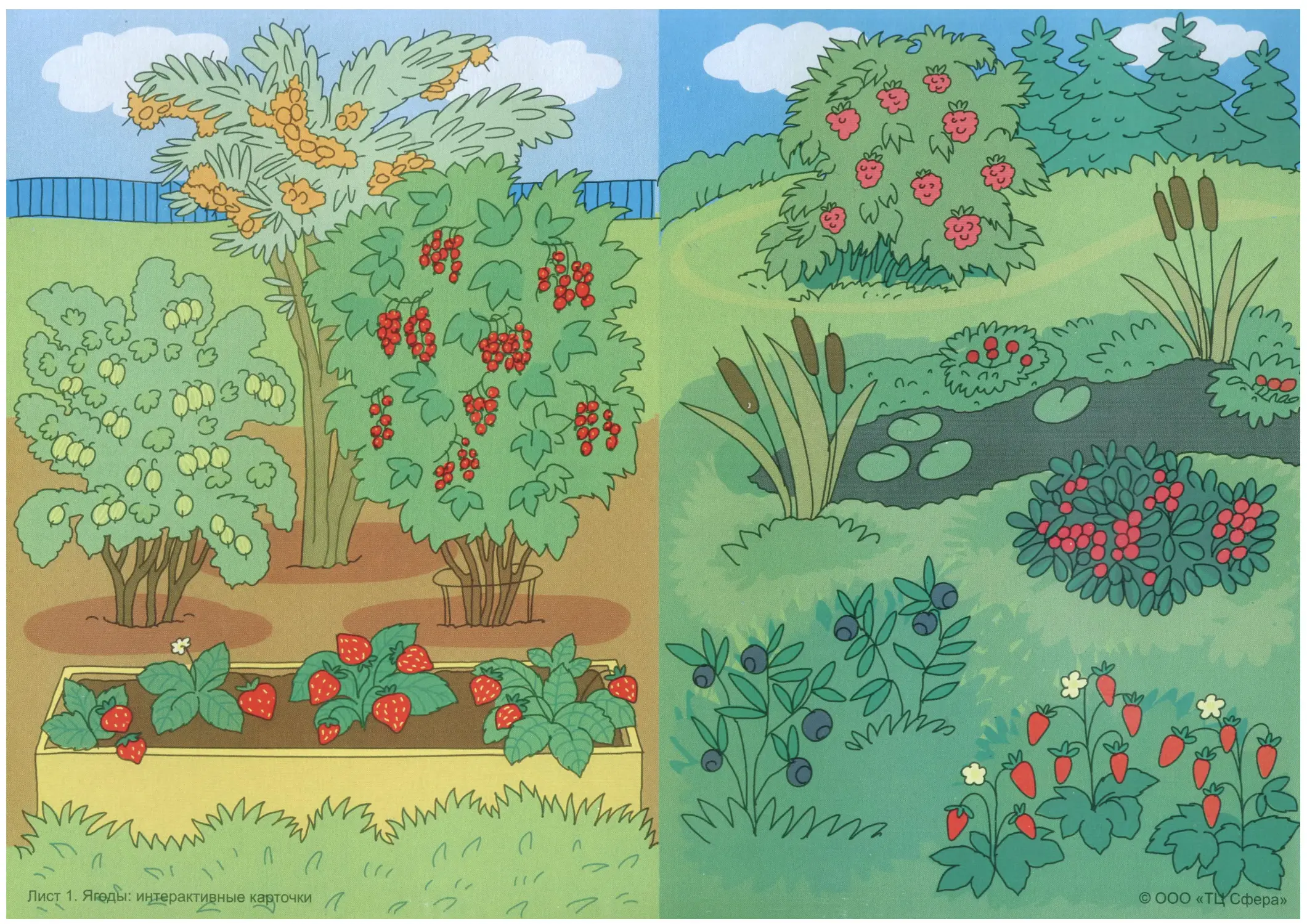 Нарисуем огород там растет два куста ягоды. Сад рисунок. Куст иллюстрация. Сад картина для детей. Кустарники в лесу иллюстрации.
