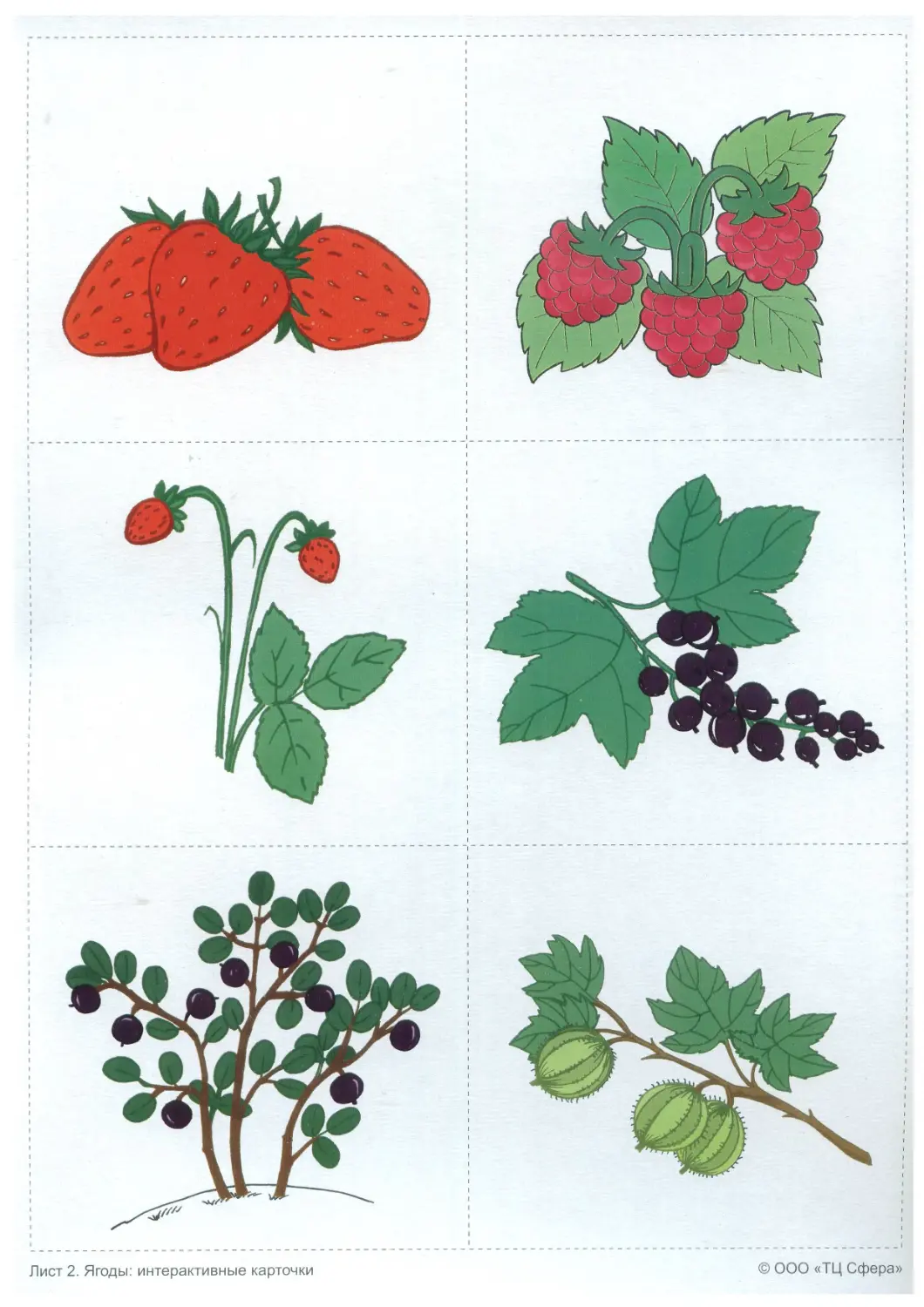 ягоды картинки для детей дошкольного возраста