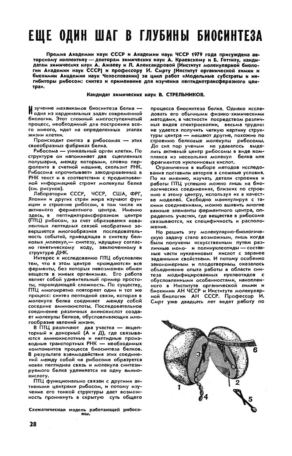 В. СТРЕЛЬНИКОВ, канд. хим. наук — Еще один шаг в глубины биосинтеза