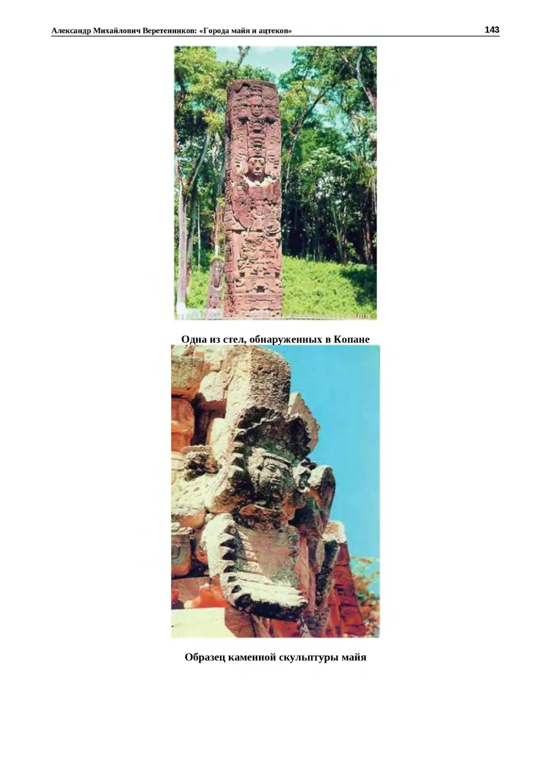 "
﻿Одна из стел, обнаруженных в Копан
"
﻿Образец каменной скульптуры май