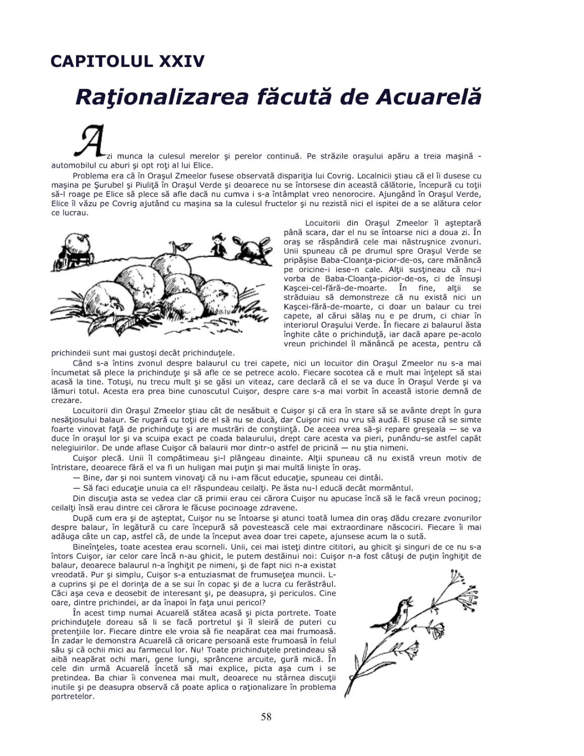 Cap.XXIV Rationalizarea facuta de Acuarela
