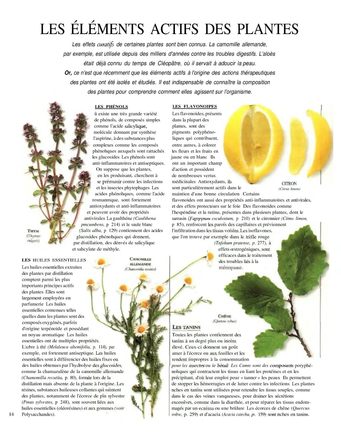 ÉLÉMENTS ACTIFS DES PLANTES