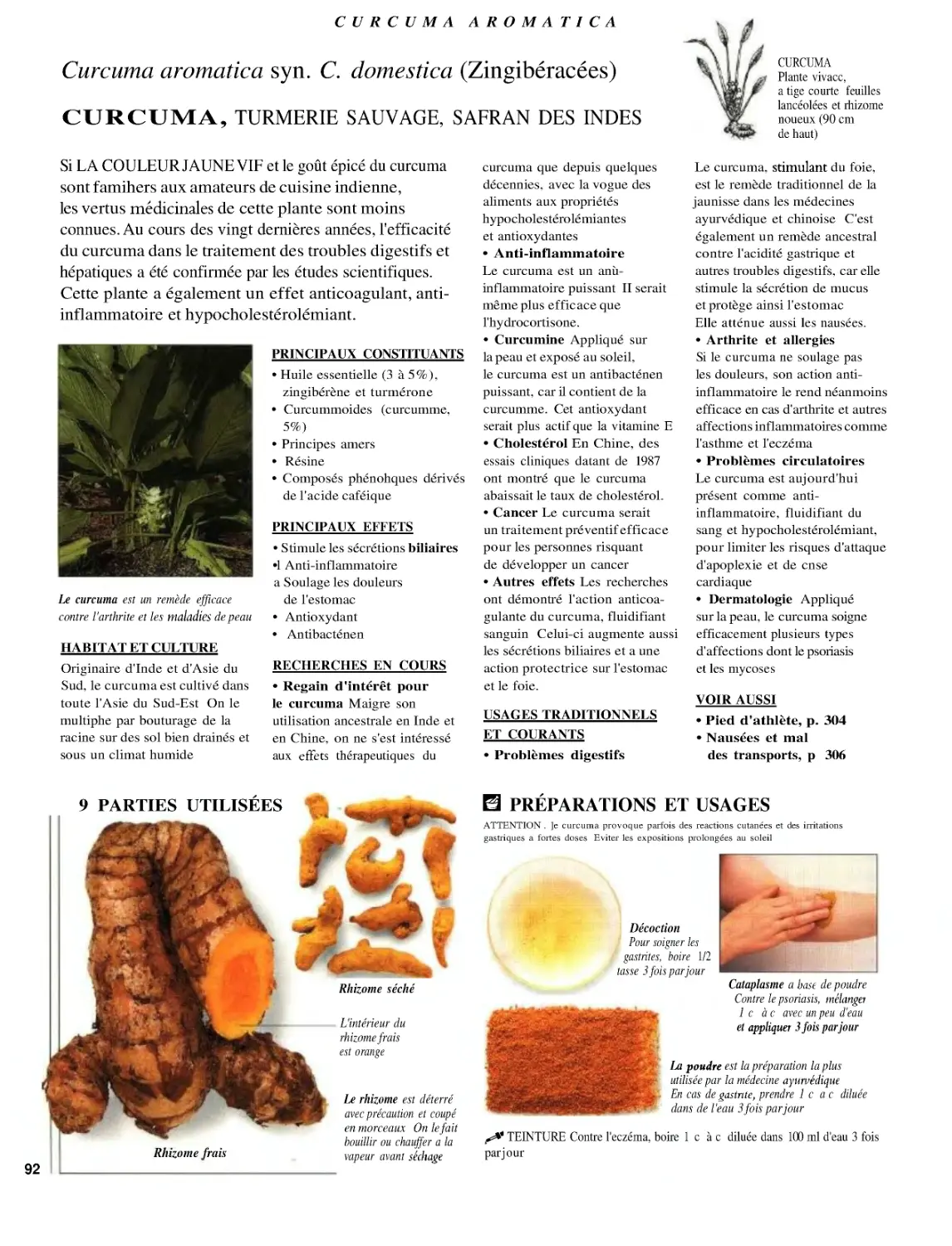 CURCUMA