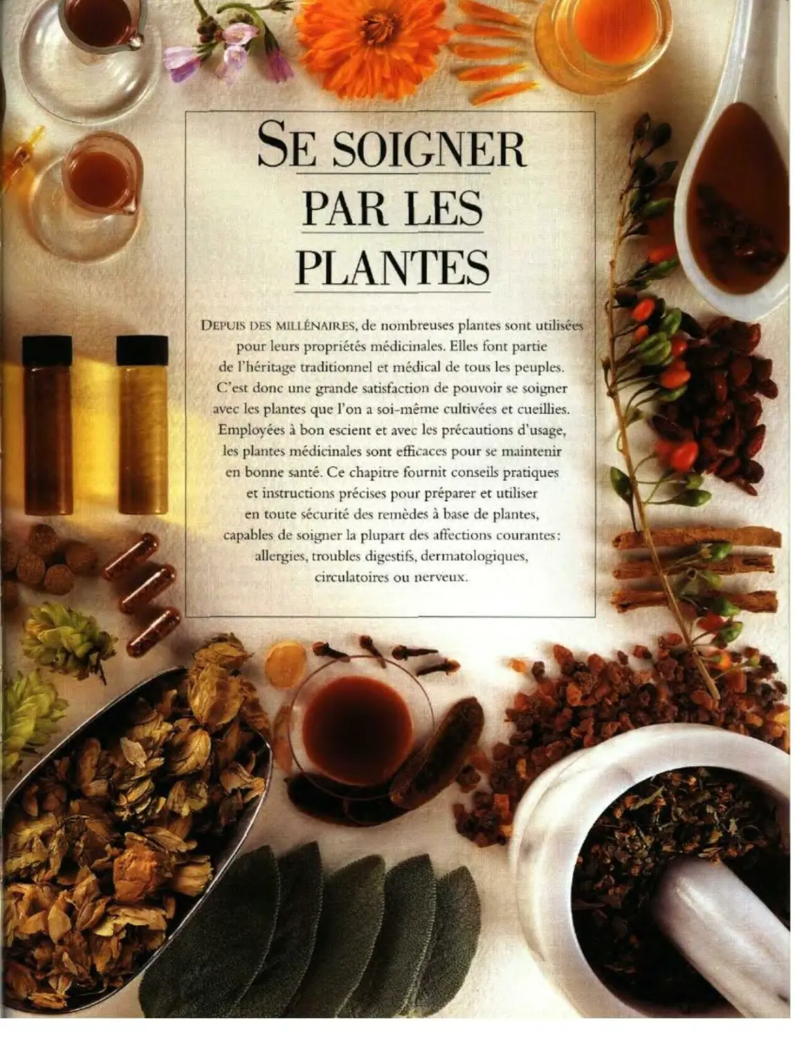 SE SOIGNER PAR LES PLANTES