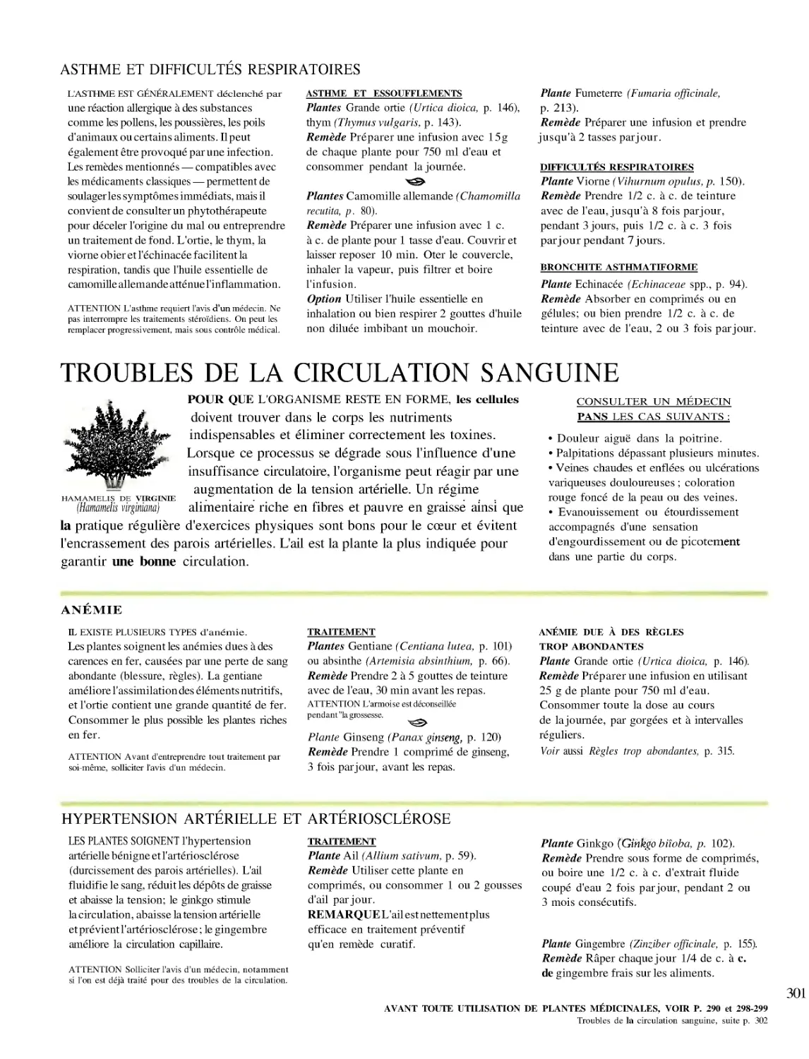 CIRCULATION SANGUINE