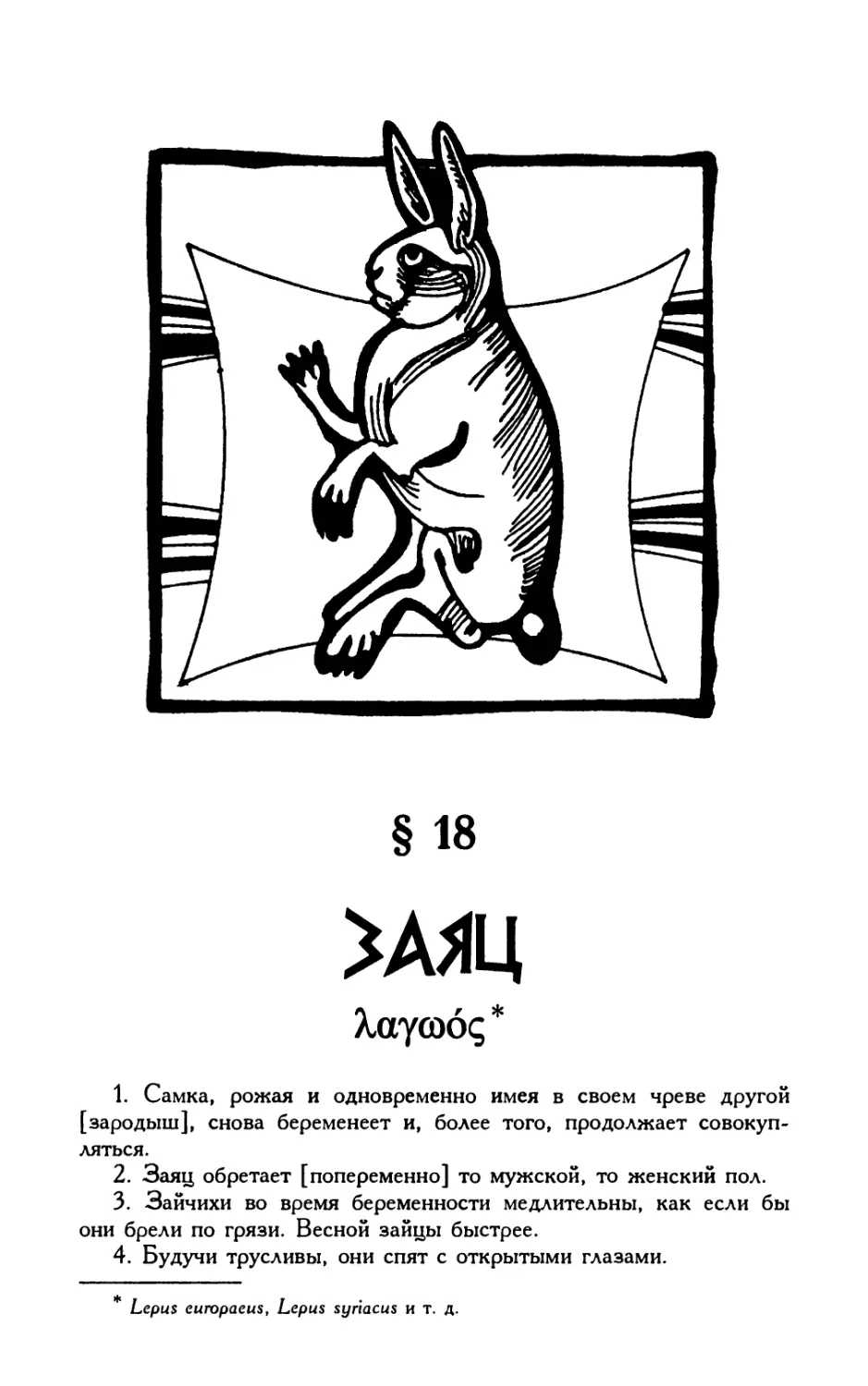 § 18. Заяц