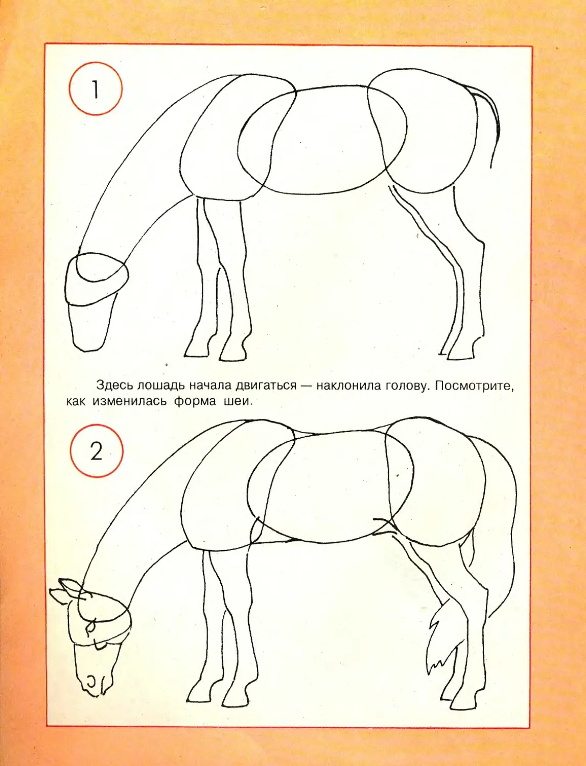 Лошадка 5 класс. Схема рисования лошади для детей. Схема рисования лошади в подготовительной группе. Рисунок лошади 6 класс изо. Лошадка рисование для детей.