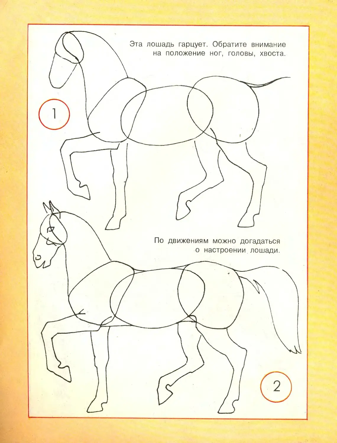 Лошадка 5 класс. Лошадь рисунок поэтапно. Схема рисования лошади для детей. Нарисовать лошадь поэтапно для детей. Нарисовать лошадь карандашом поэтапно для начинающих.