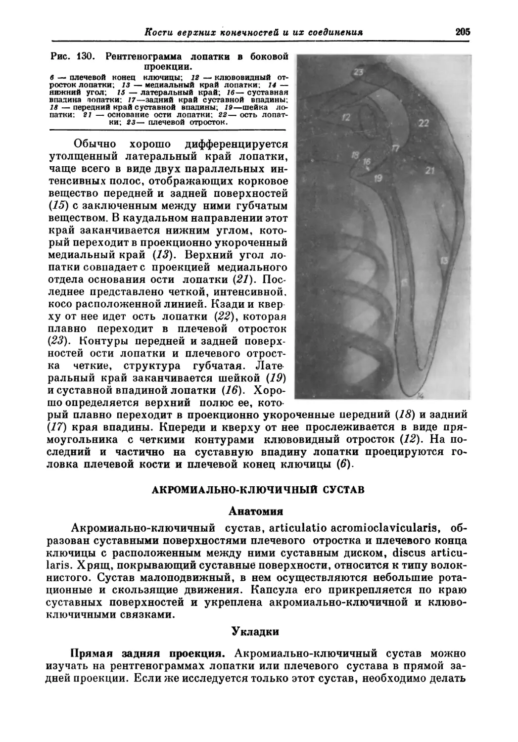 Акромиально-ключичный сустав
Анатомия
Укладки