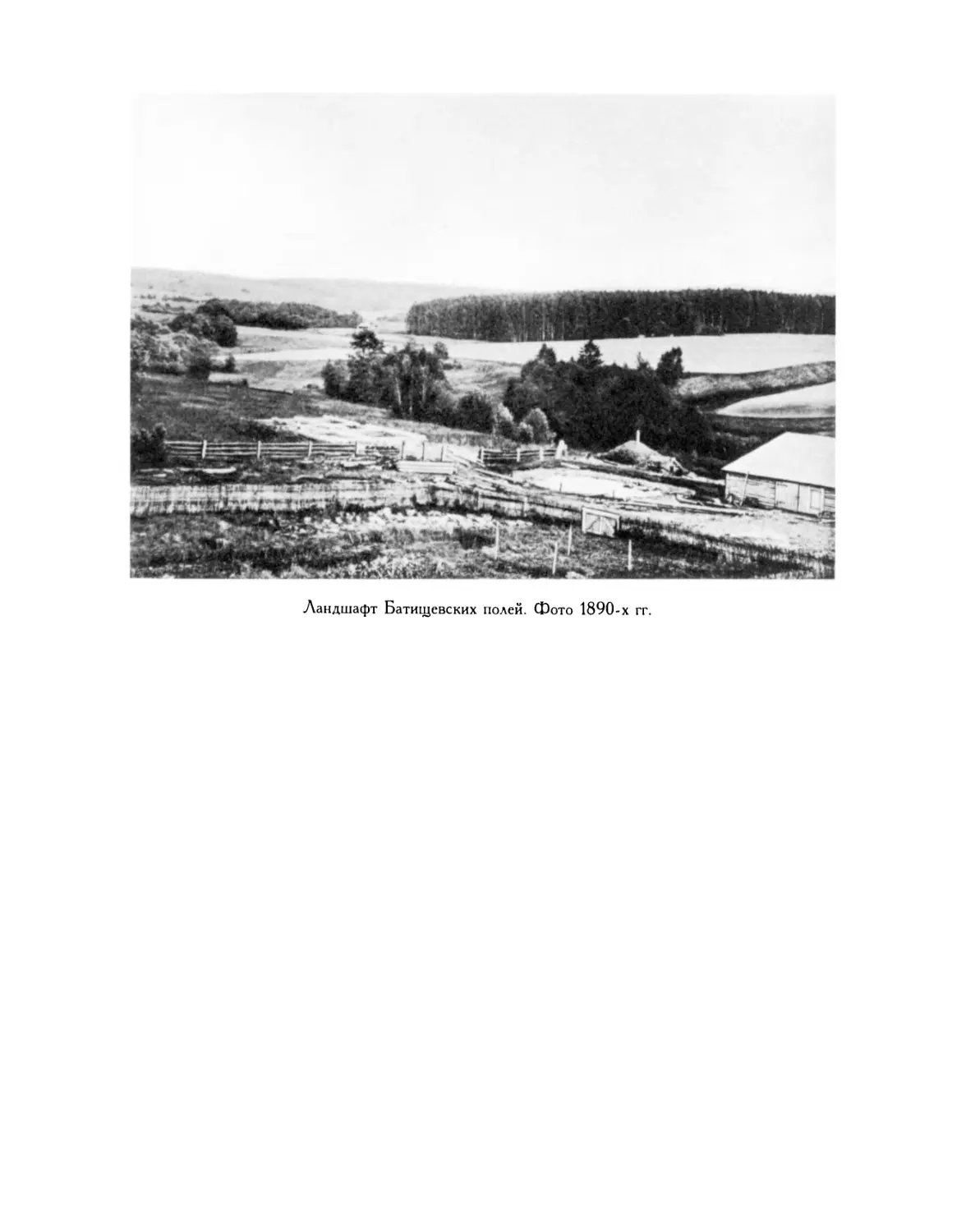 Ландшафт Батищевских полей. Фото 1890-х гг.