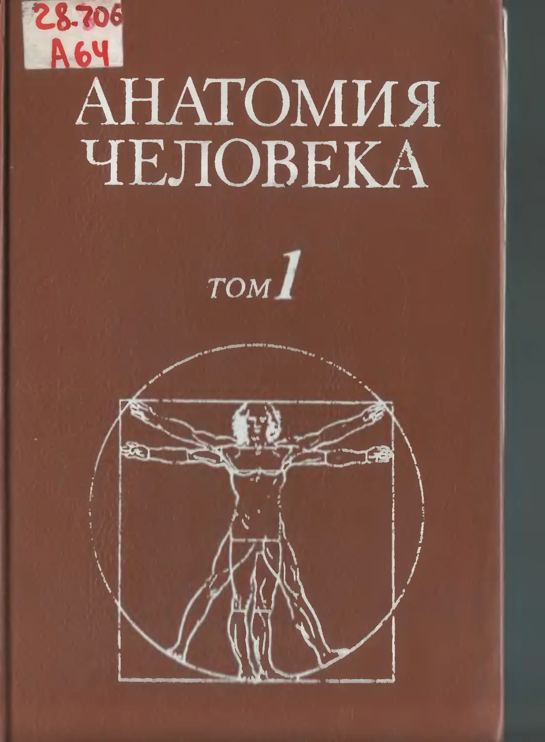 4 том анатомия. Анатомия человека Сапин 1 том. Анатомия человека Сапин Билич 2 издание. Сапин Билич анатомия человека. Анатомия человека в 2х томах. М.Р. Сапин.