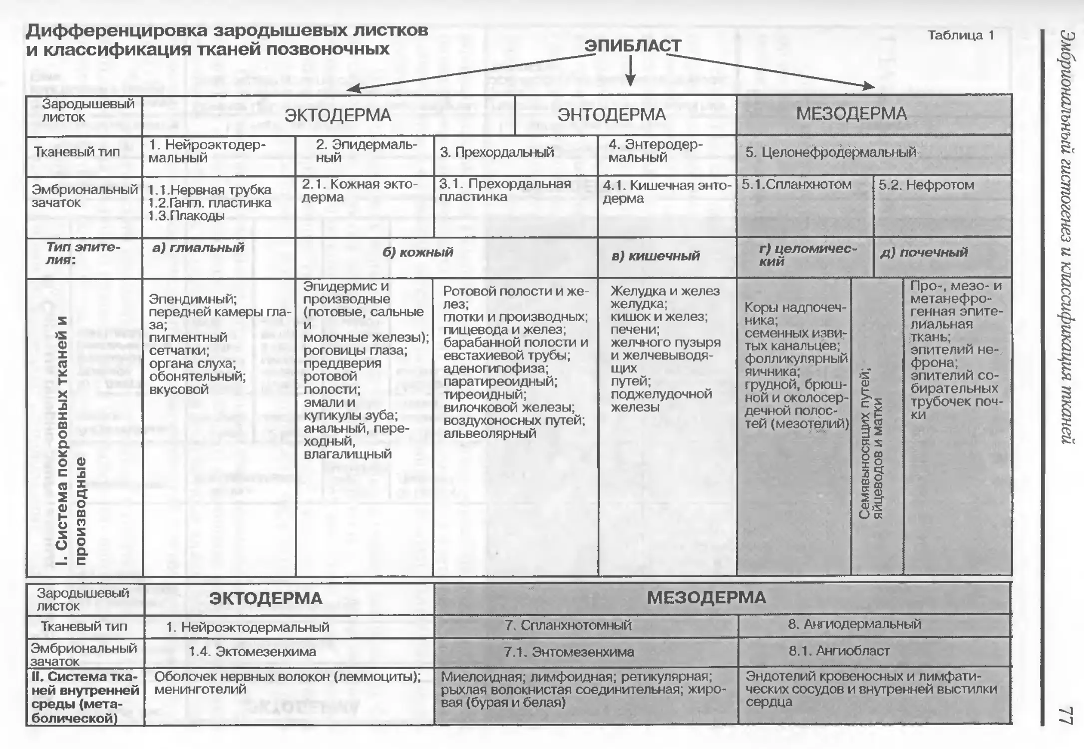 Функциональная классификация тканей. Классификация эпителиальной ткани таблица. Эпителиальная ткань таблица. Классификация соединительной ткани гистология схема. Классификация тканей гистология таблица.