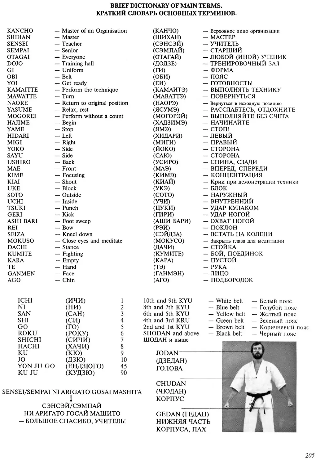 Команды в каратэ киокушинкай с переводом