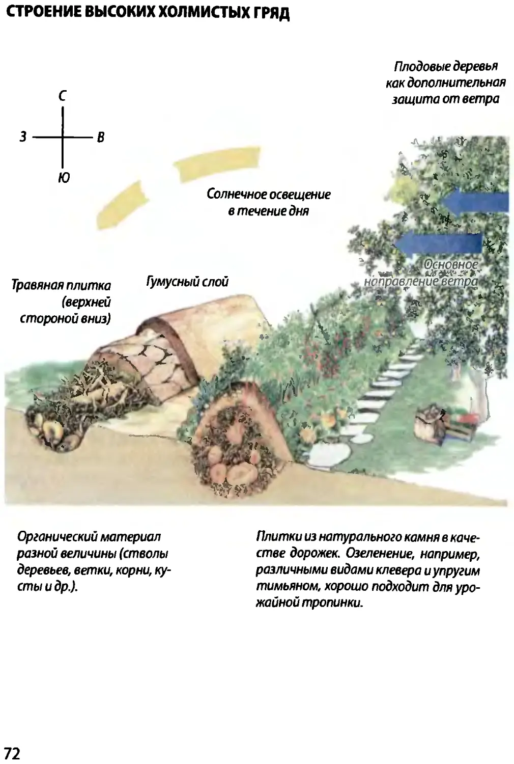 Грядки хольцера схема