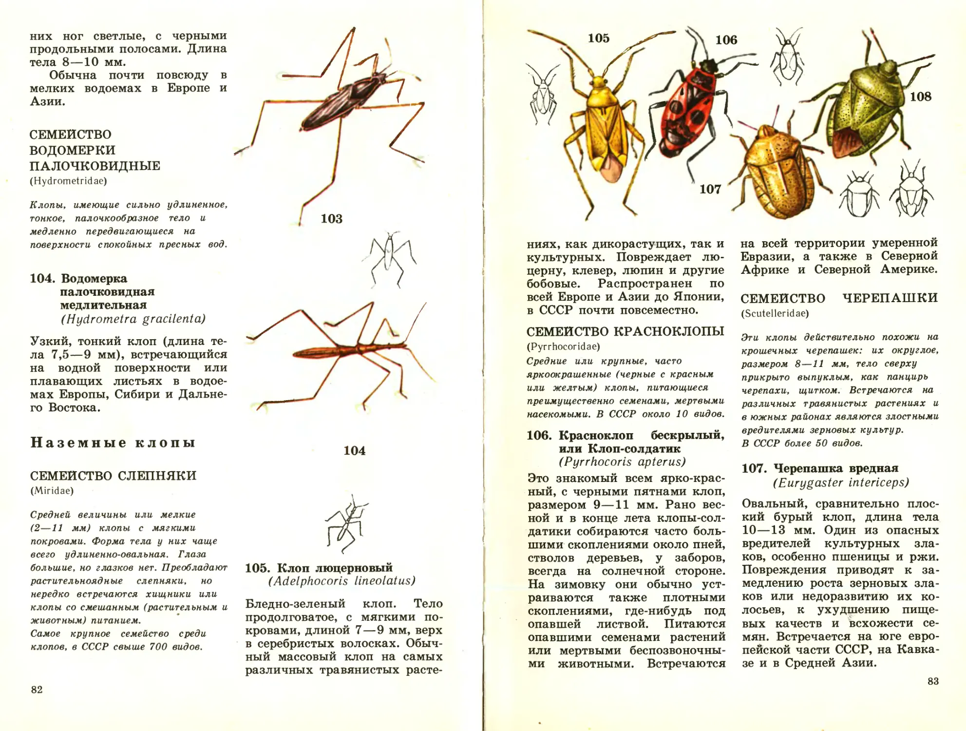 Атлас определитель змеи 3 класс окружающий мир. Атлас определитель беспозвоночных 1992 год.