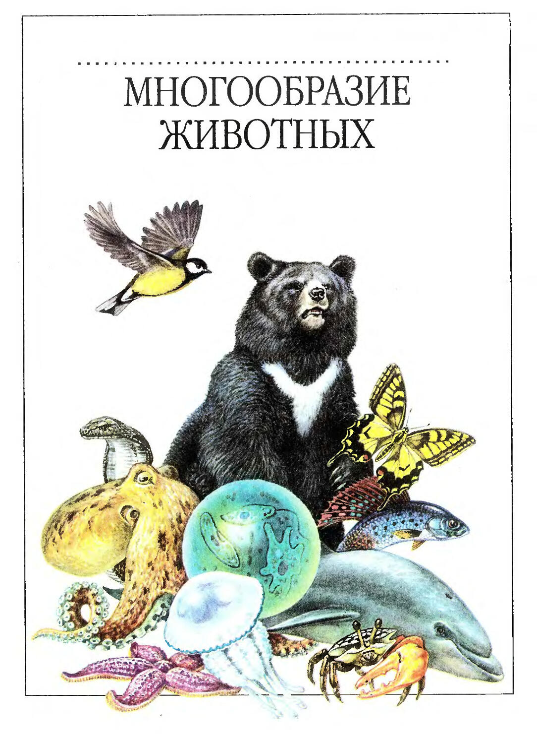 Книги про зоологию. Зоология учебник. Учебник по Зоология кошек. Ворона учебник зоологии.
