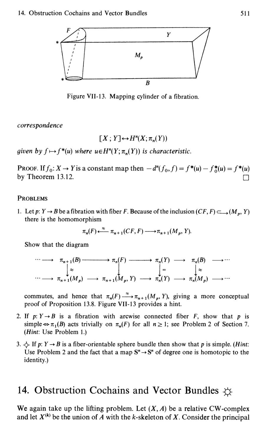 14. Obstruction Cochains and Vector Bundles