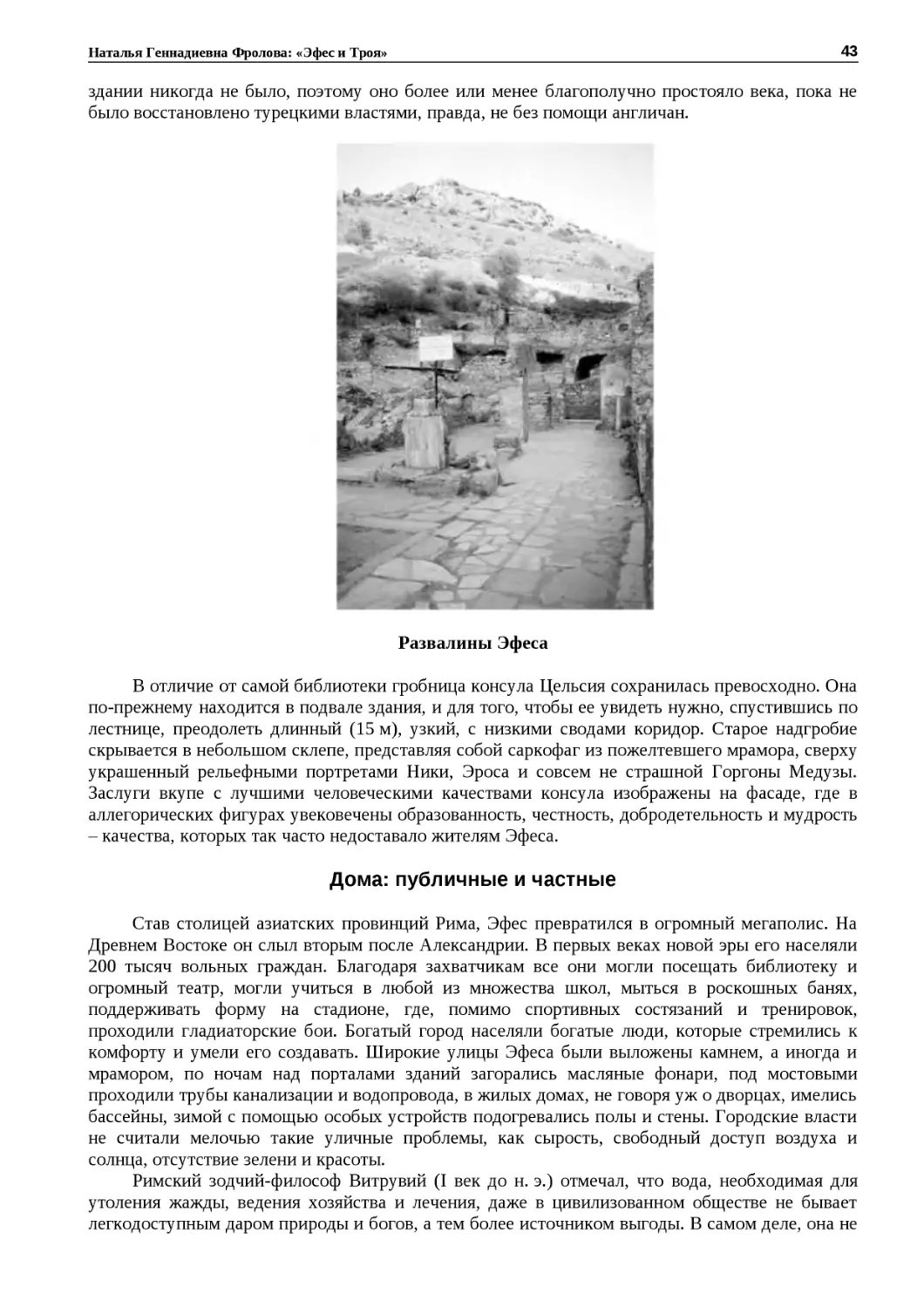﻿Развалины Эфес
﻿Дома: публичные и частны