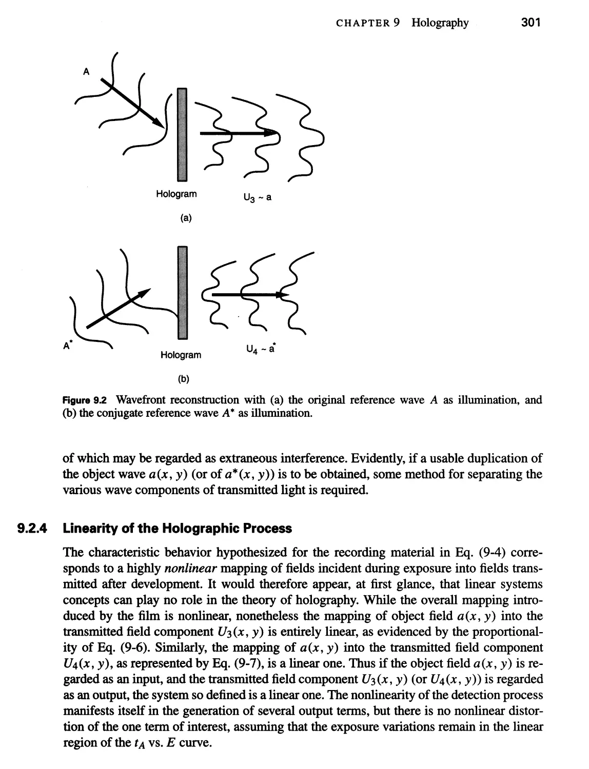 9.2.4 Linearity of the Holographic Process 301