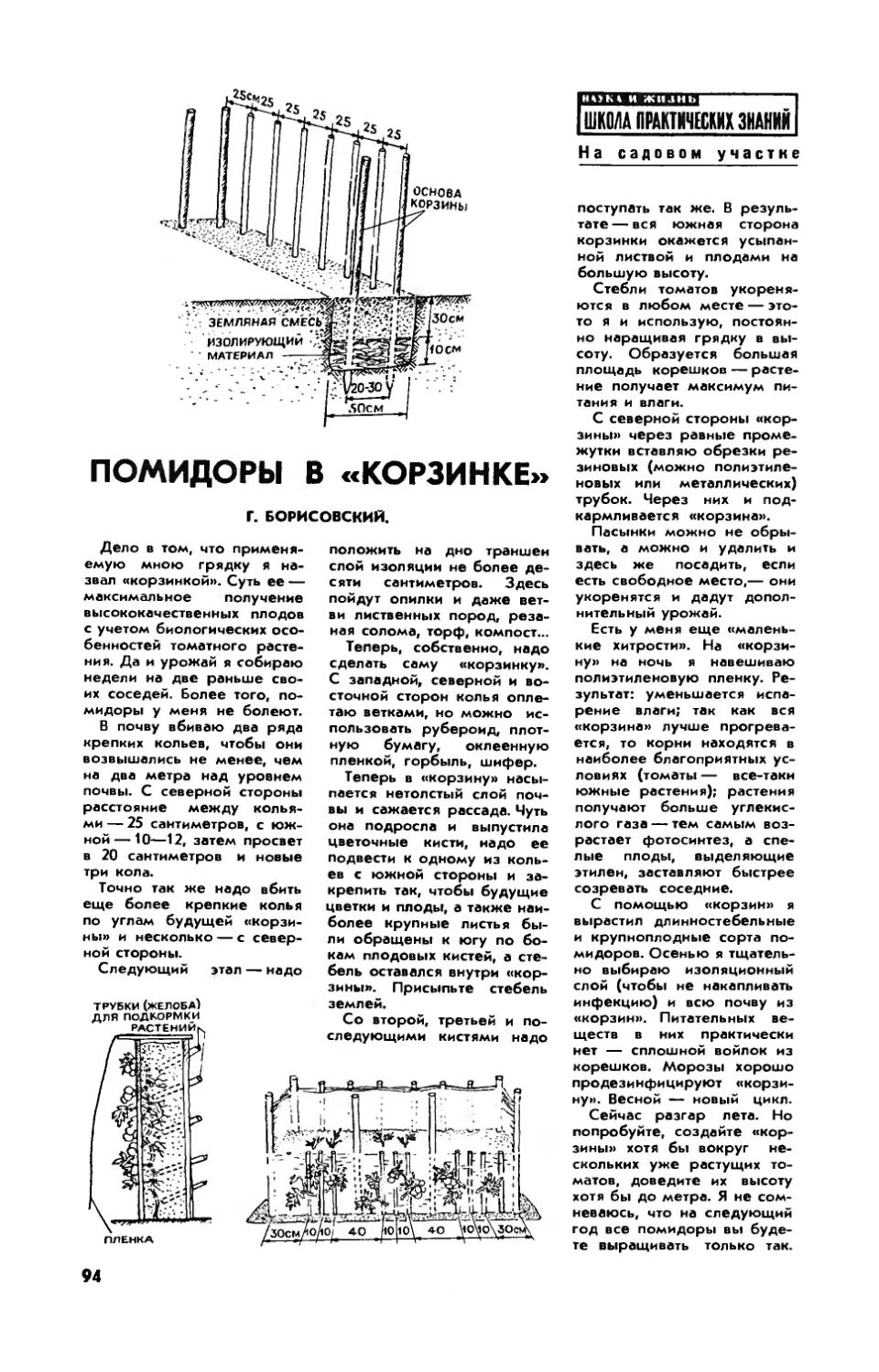 Г. БОРИСОВСКИЙ — Помидоры в \