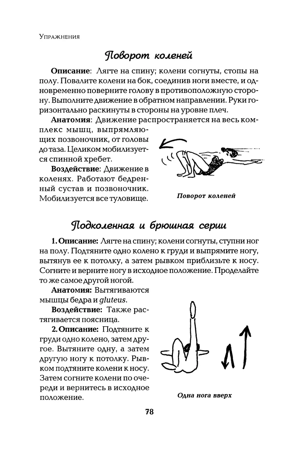 Поворот коленей
Подколенная и брюшная серии