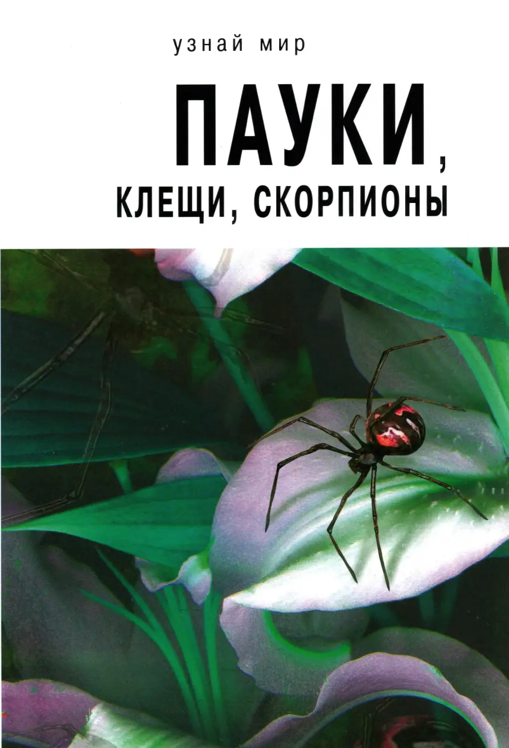 Голубева Е.Б. Пауки, клещи, скорпионы. 2015