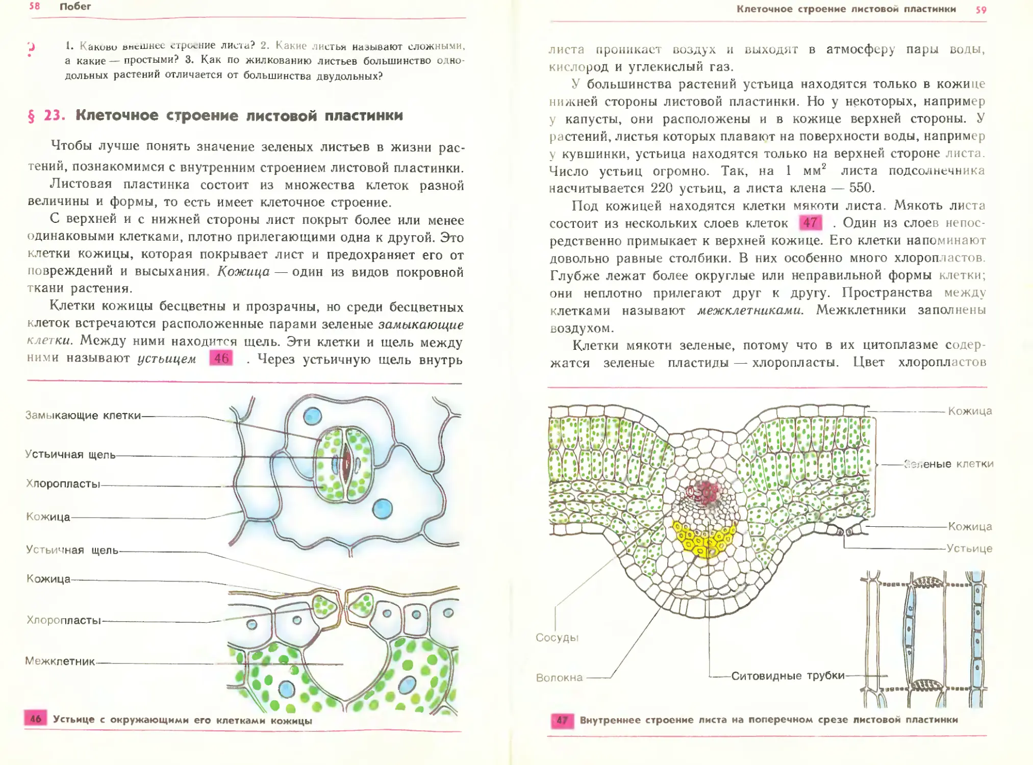 Укажите лишний объект фотография телеграмма картина чертеж учебник по биологии фото 86