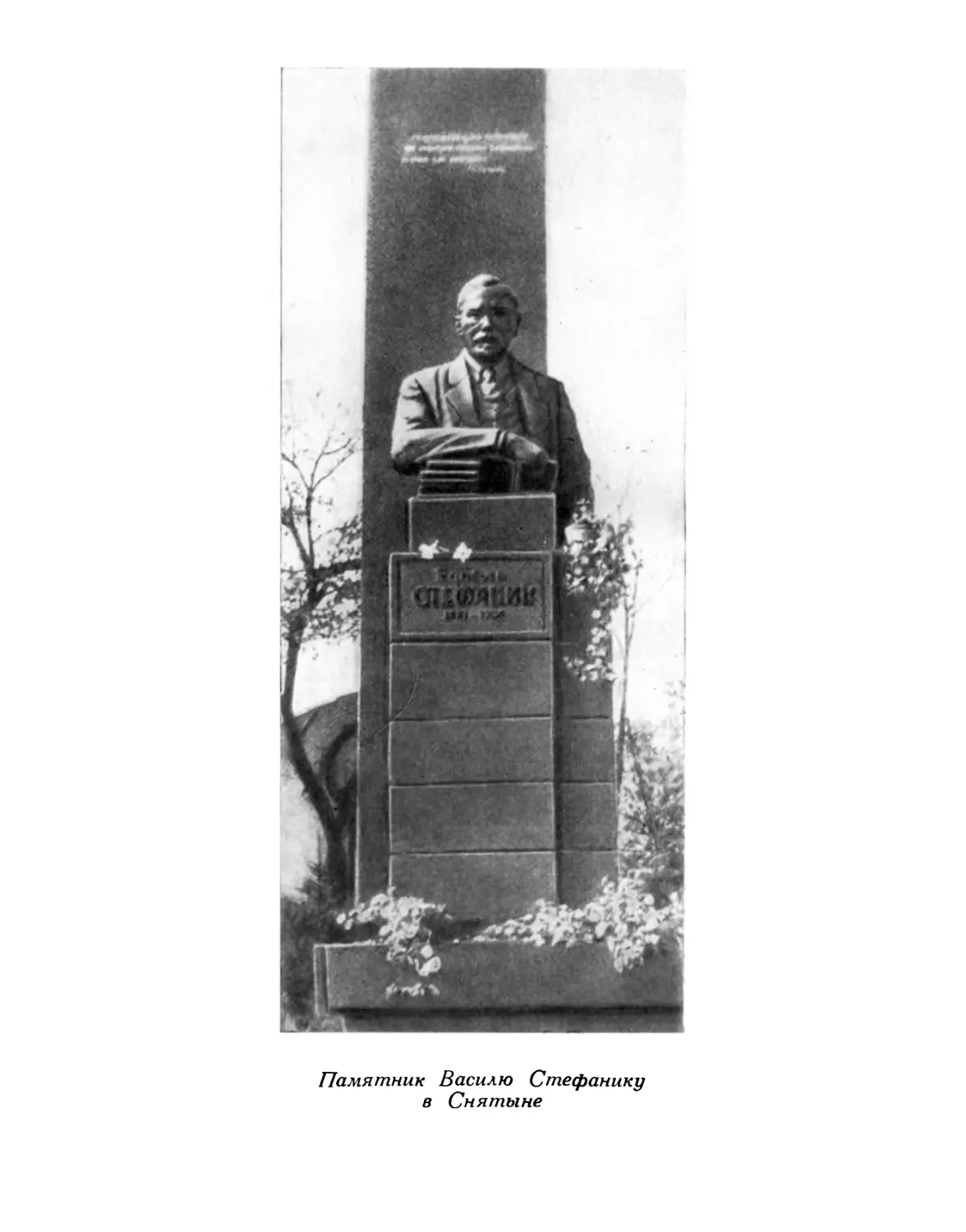 Памятник В. Стефанику в Снятыне