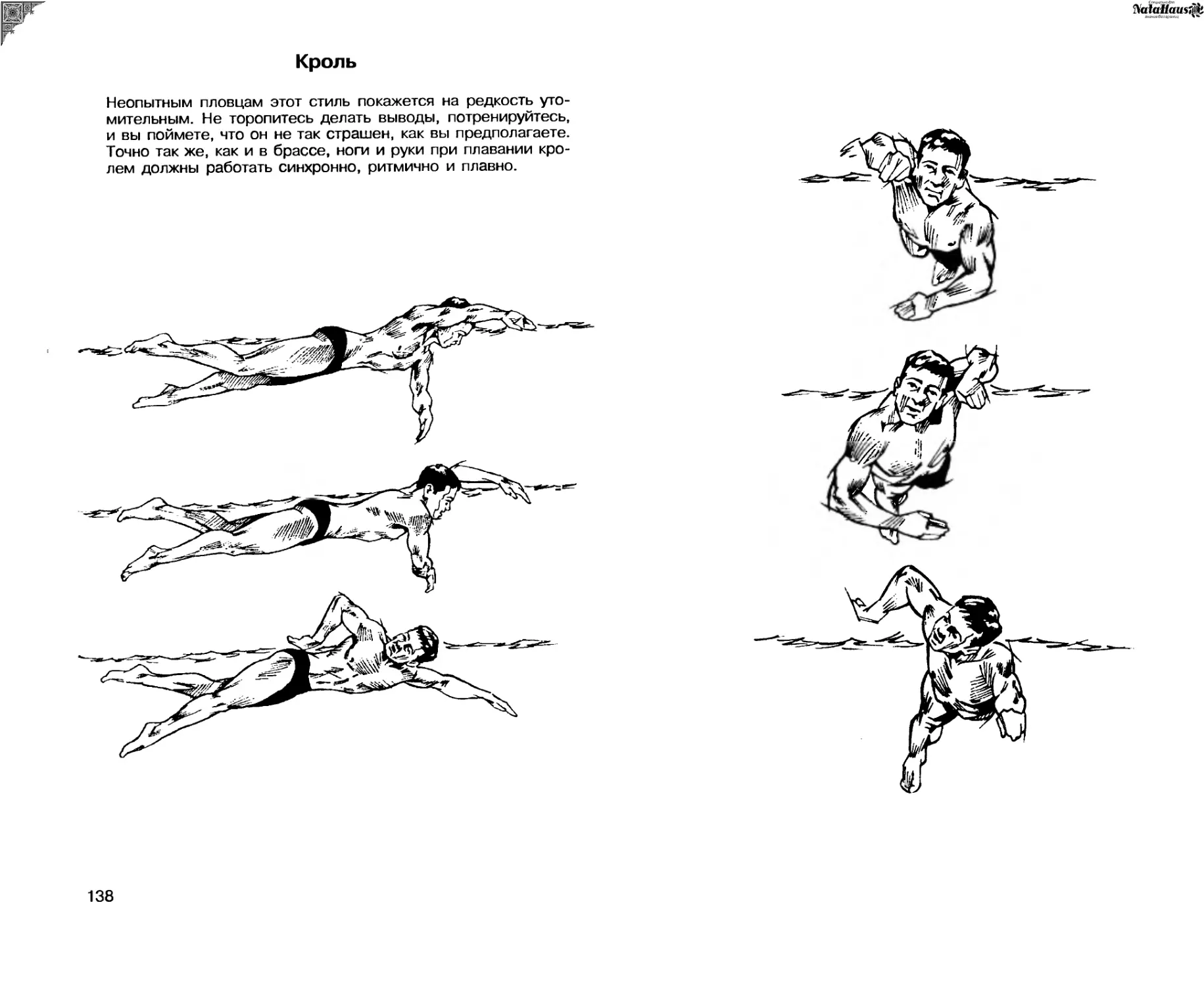 Правильный гребок в кроле схема