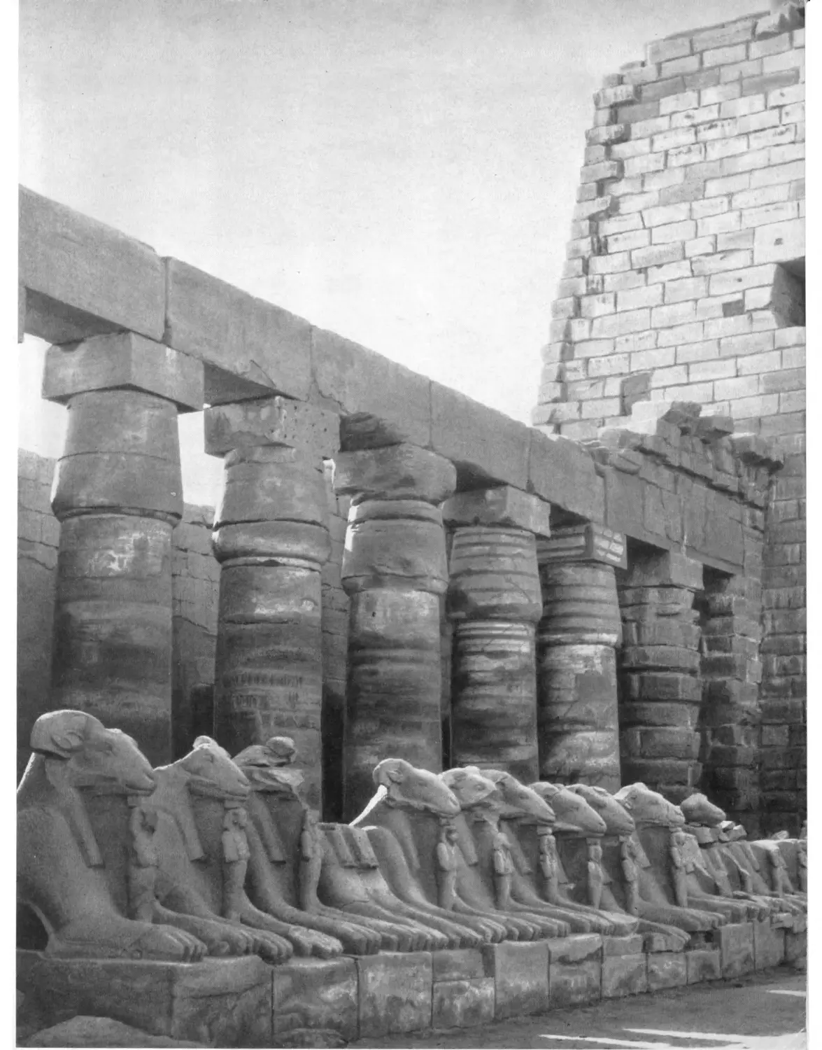 Вклейка. Храм Амона в Карнаке. Новое царство. Аллея овнов