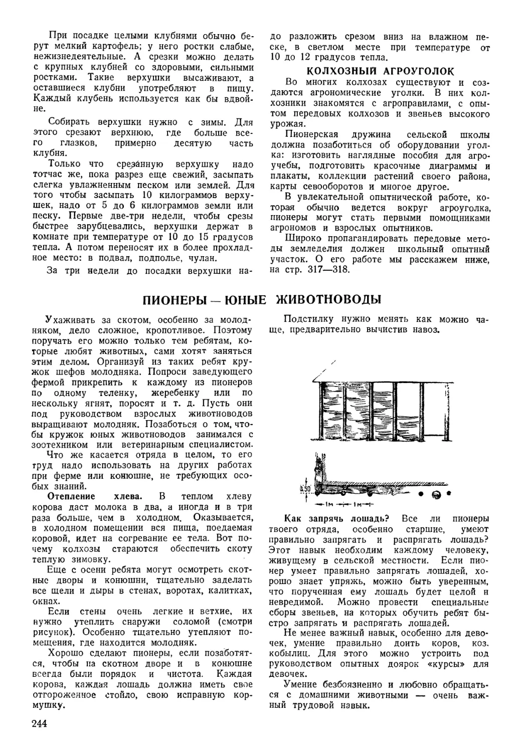 Колхозный агроуголок
Пионеры — юные животноводы