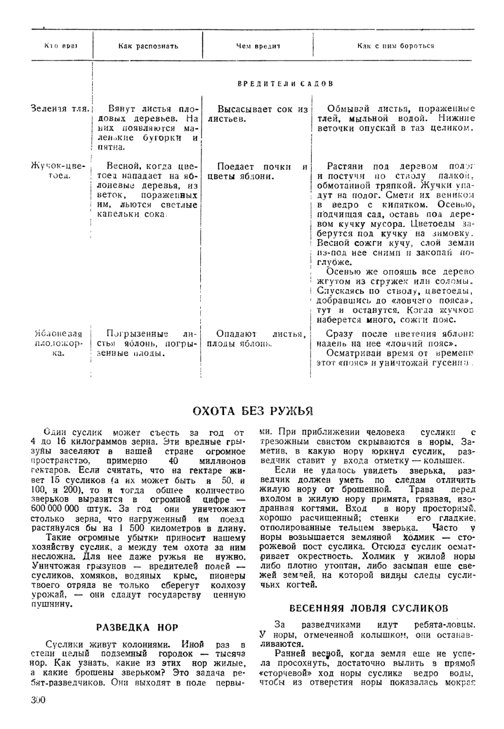 Охота без ружья
Весенняя ловля сусликов