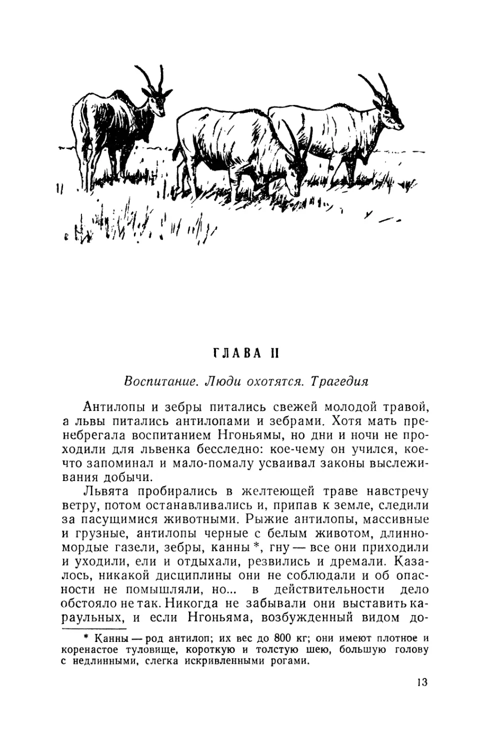 Глава II. Воспитание. Люди охотятся. Трагедия