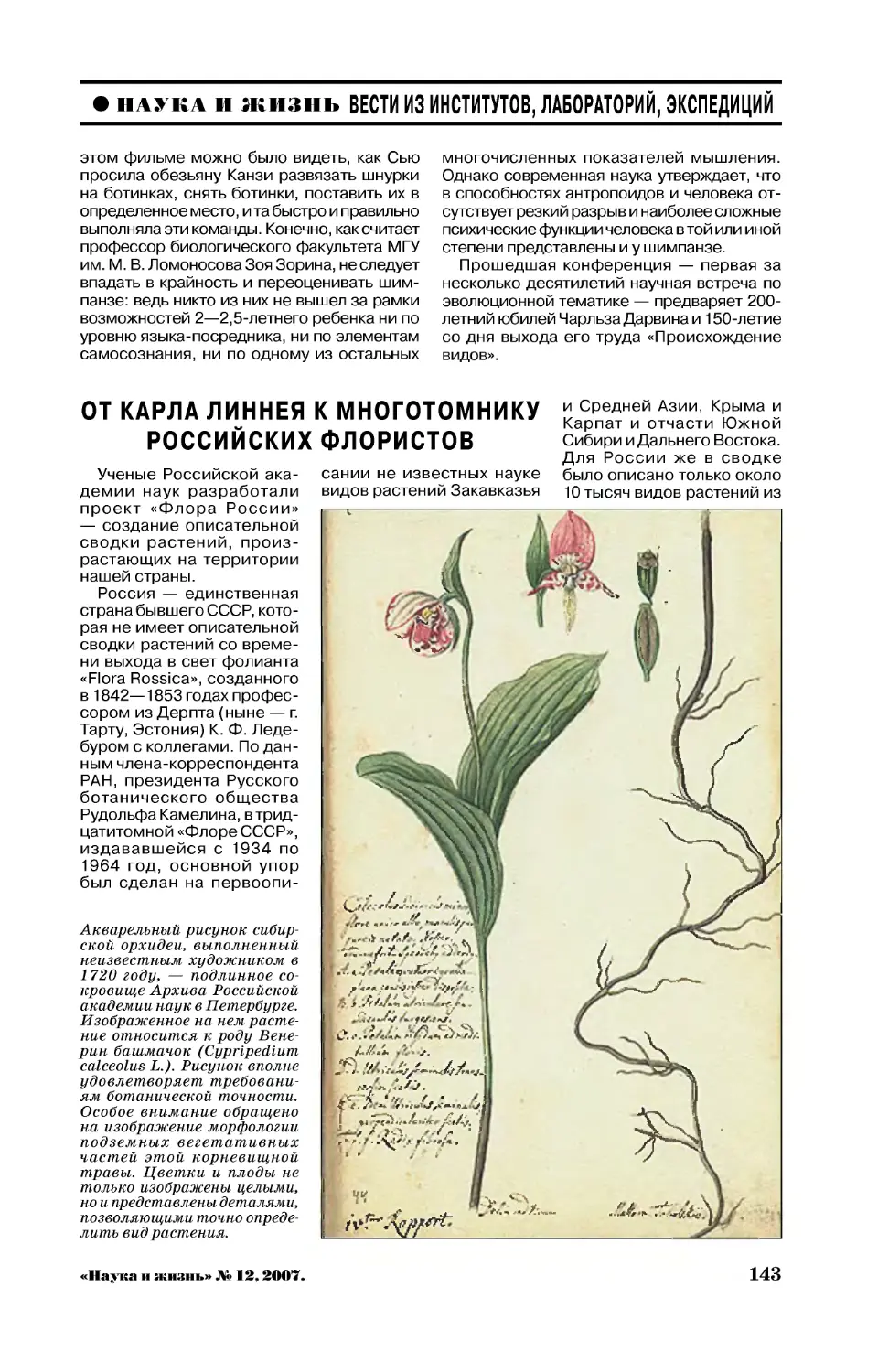 От Карла Линнея к многотомнику российских флористов