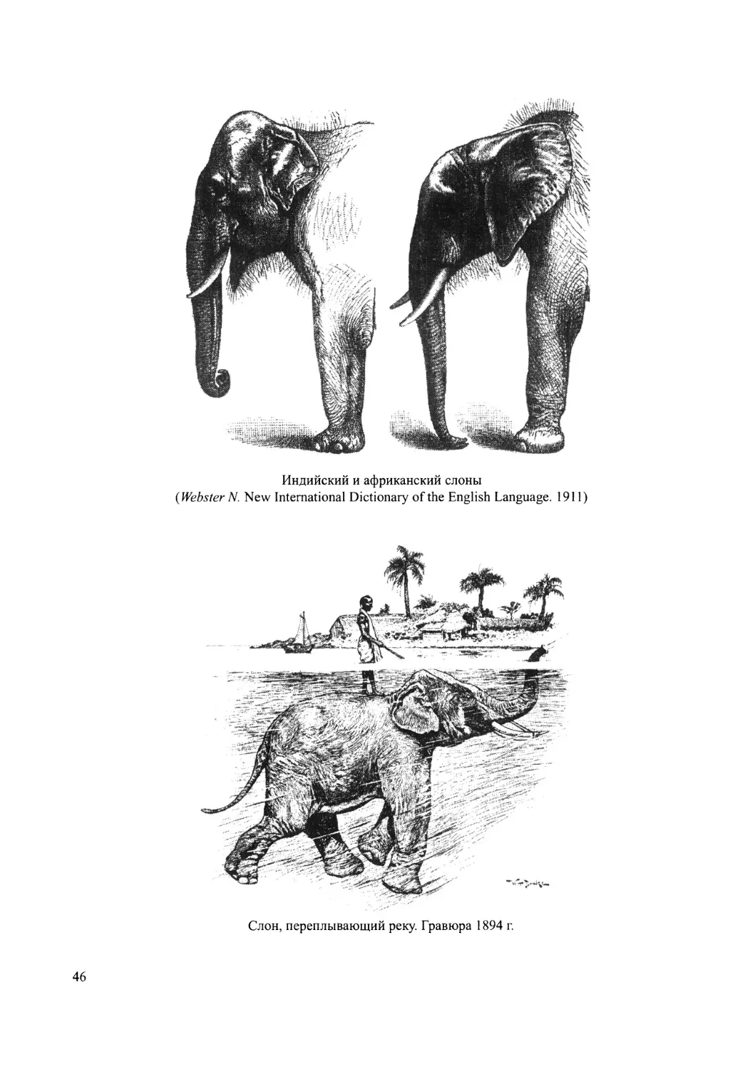 ГЛАВА II. Что было известно о слонах, живущих в Индии до похода Александра