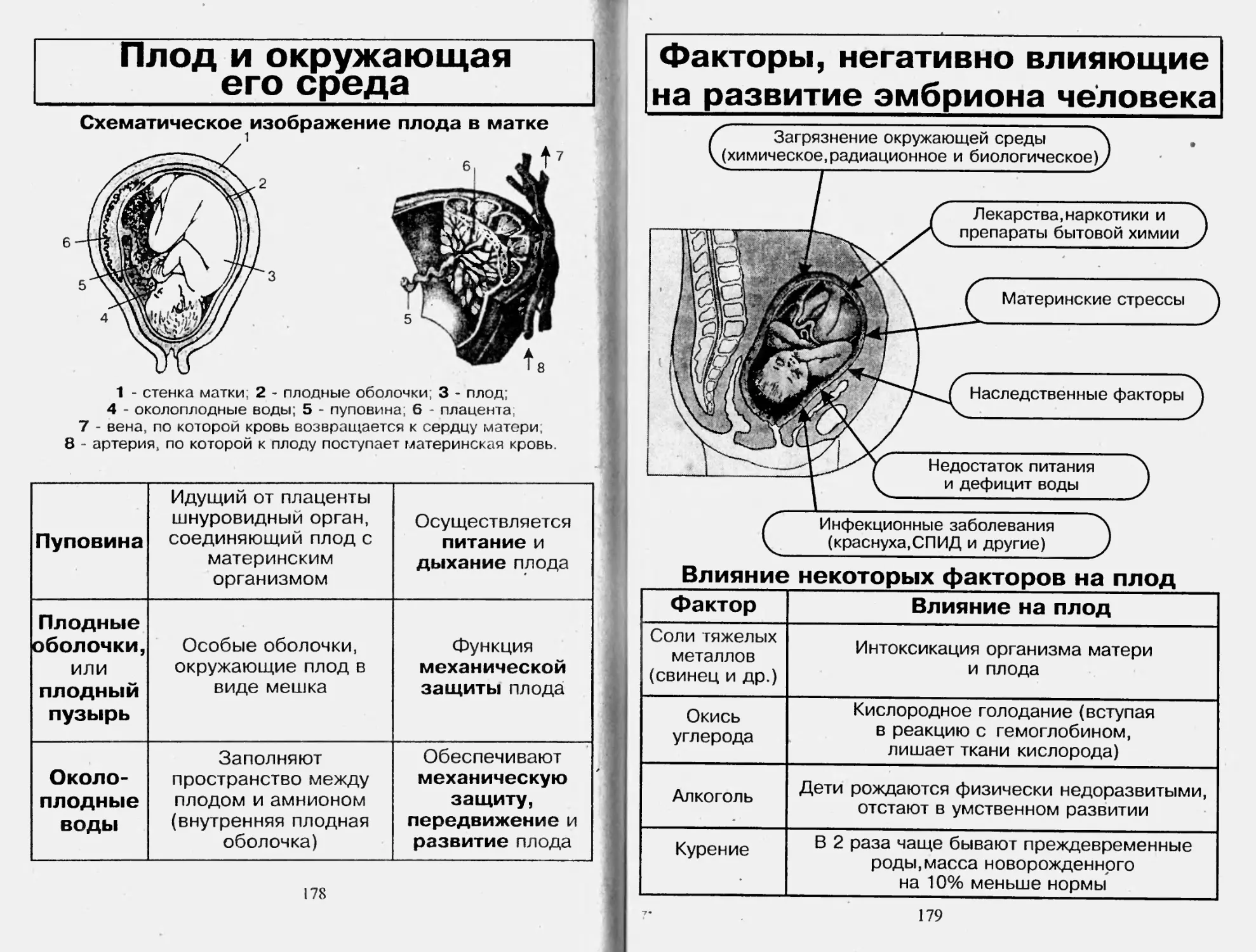 Биология человека в таблицах рисунках и схемах