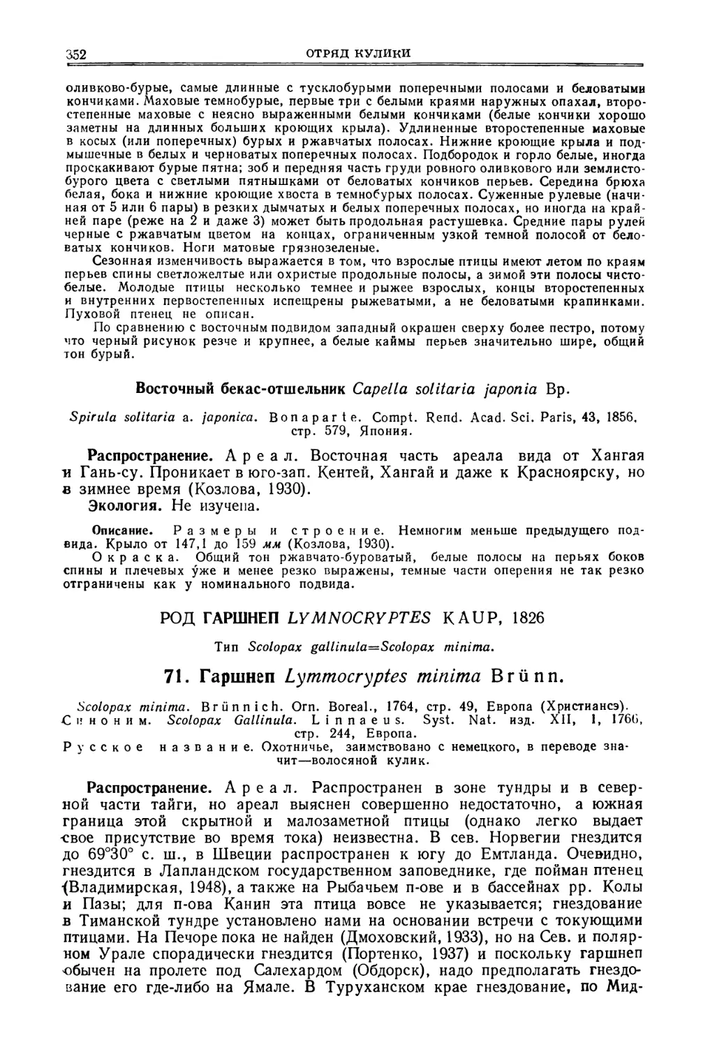 Восточный бекас-отшельник
Род гаршнепы