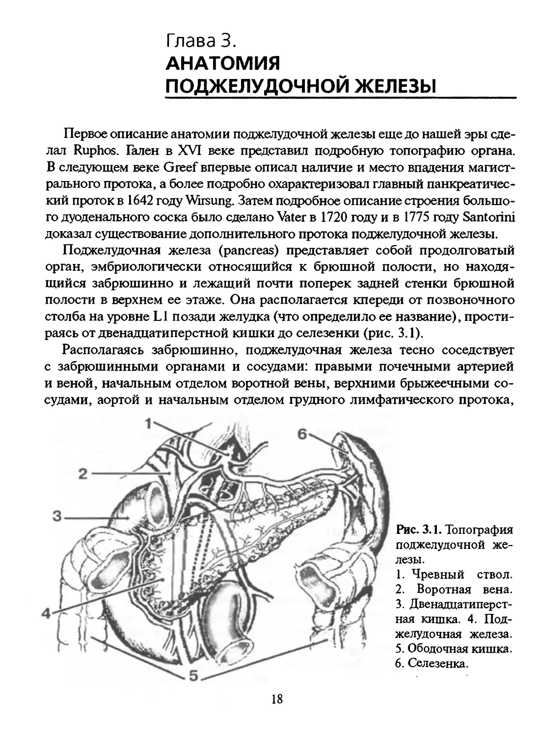 Глава 3. Анатомия поджелудочной железы