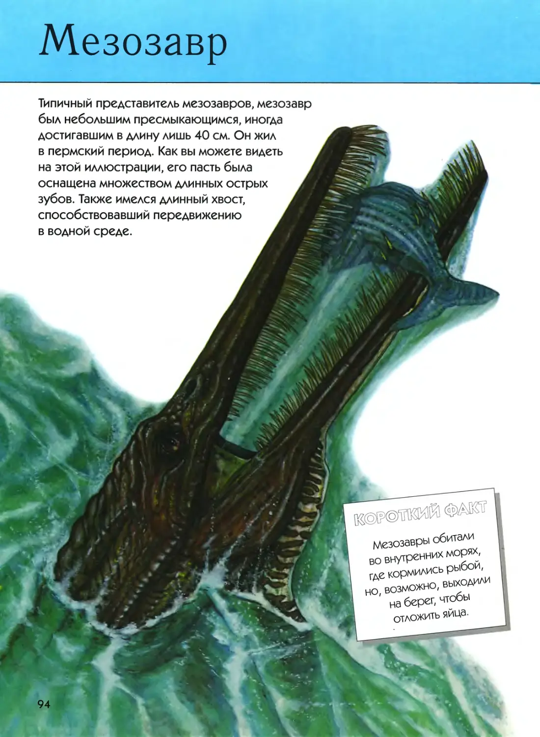 ¤ Мезозавр