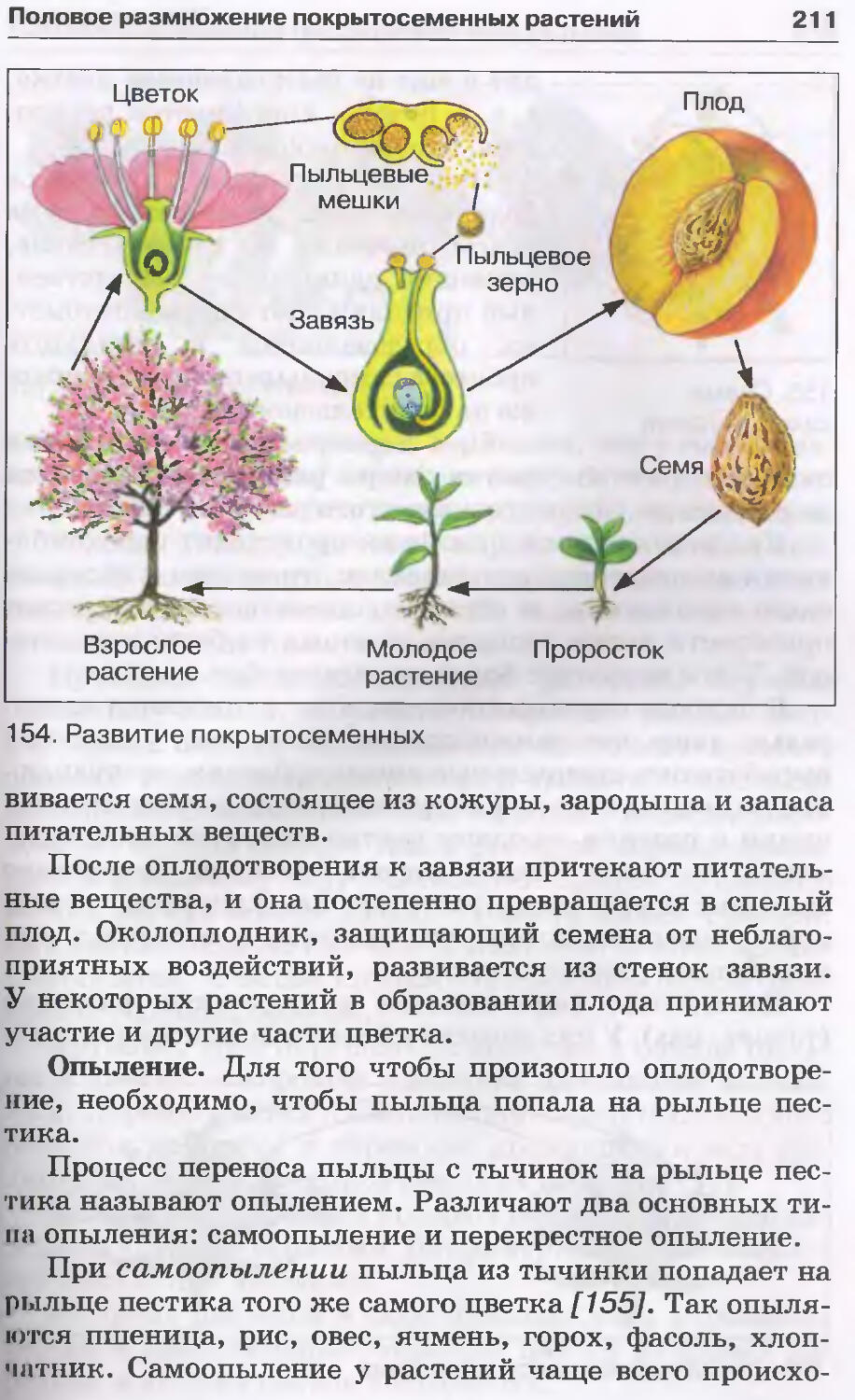 Учебник биологии 6 класс пасечник дрофа