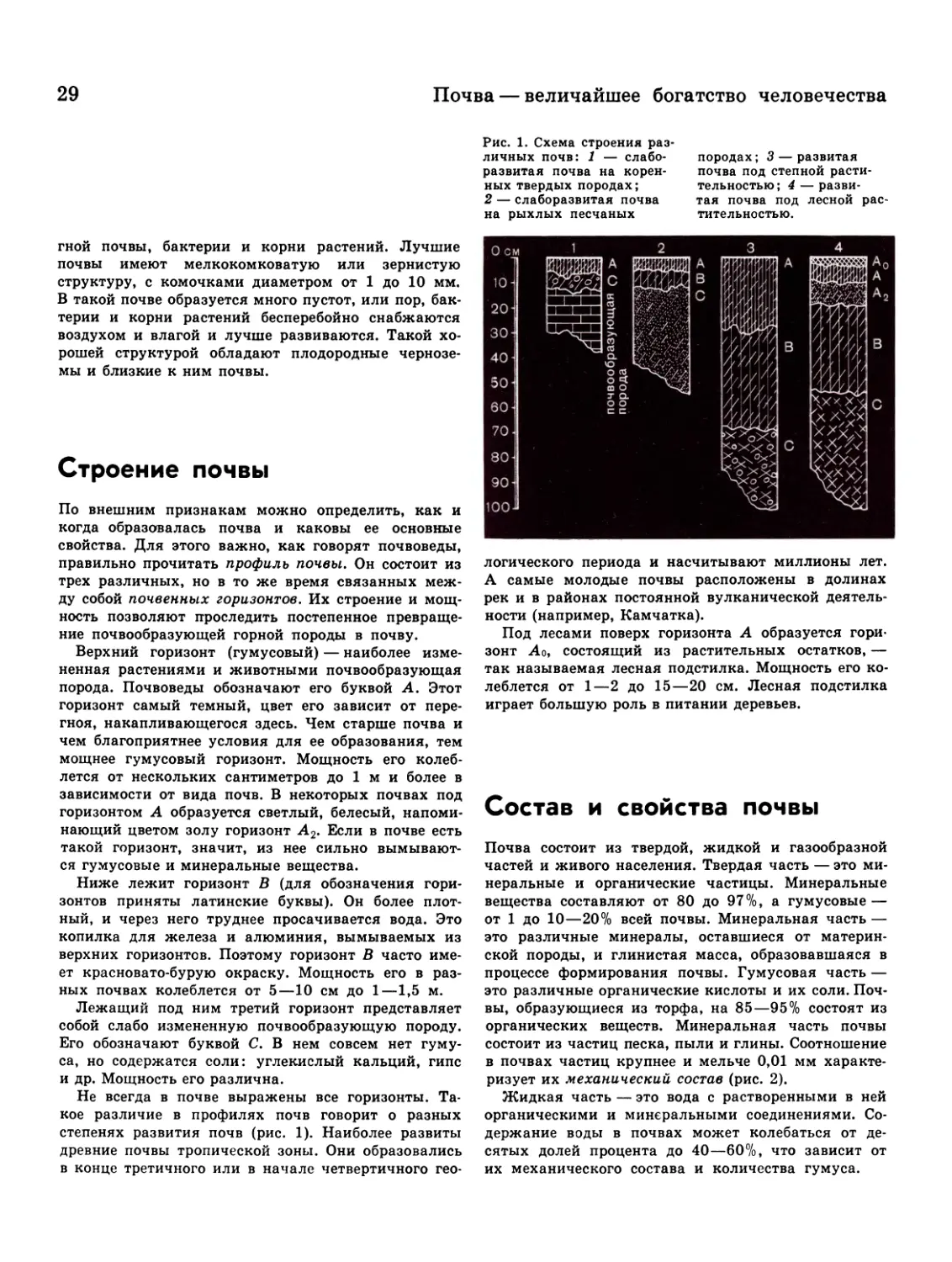 Строение почвы
Состав и свойства почвы