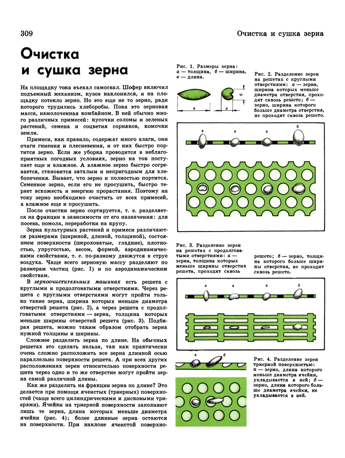 Очистка и сушка зерна