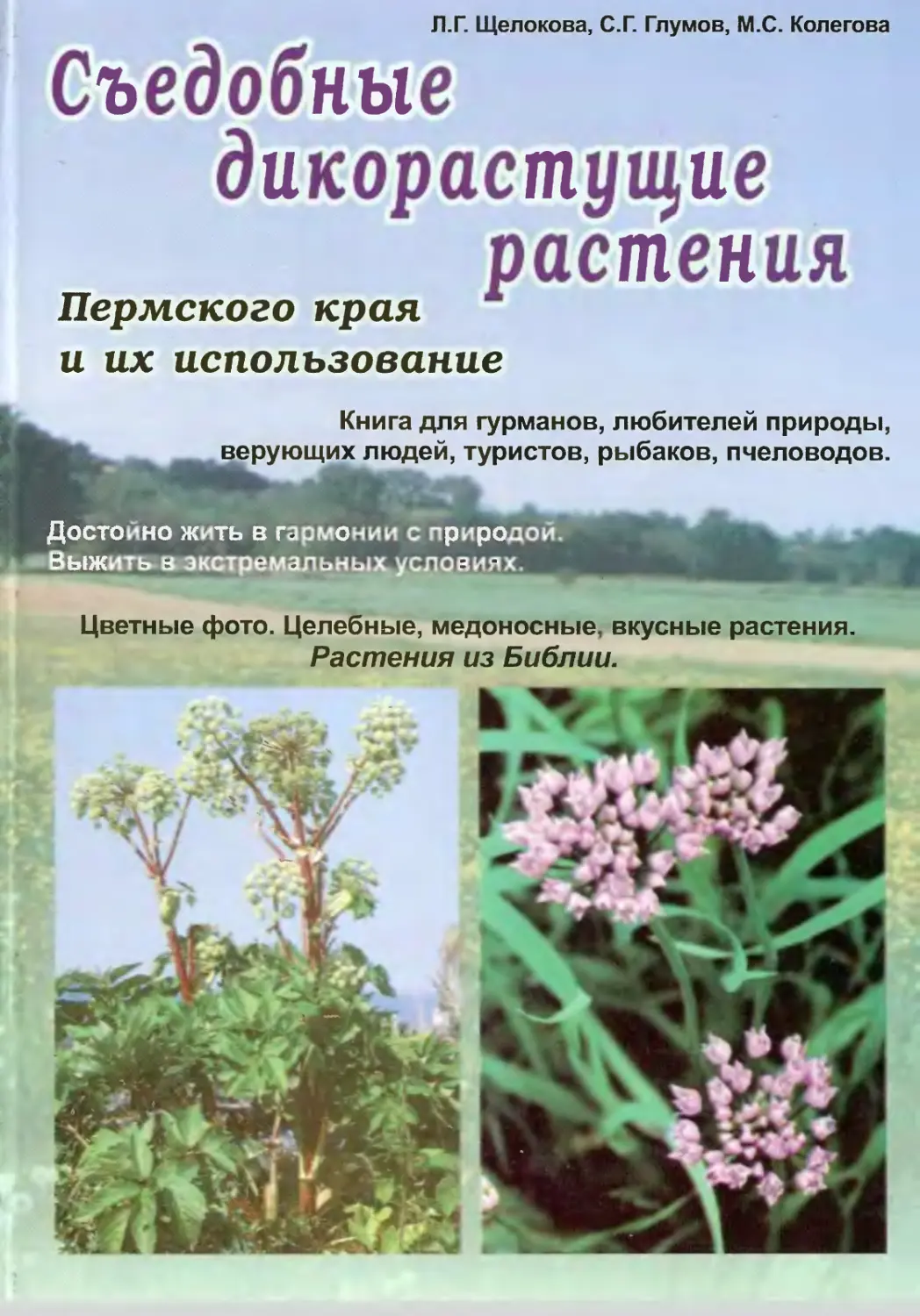 Дикорастущие растения Пермского края