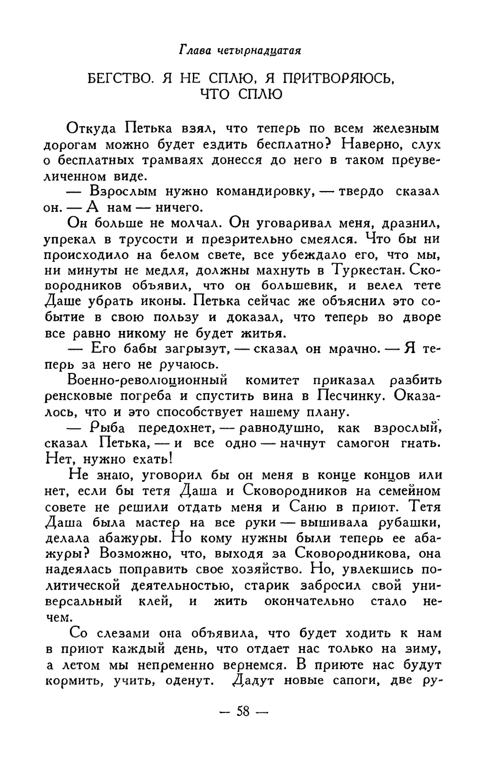 Глава четырнадцатая. Бегство. Я не сплю, я притворяюсь, что сплю